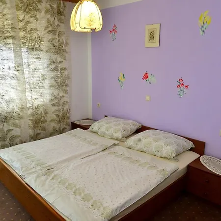 Guest house Pansion Rogovic