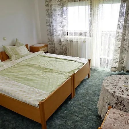 Guest house Pansion Rogovic 3*