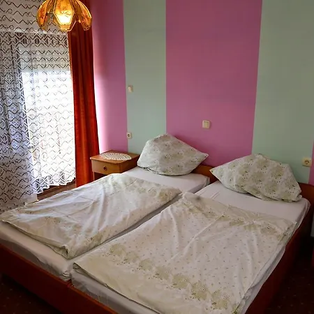 Pansion Rogovic Guest house 3*
