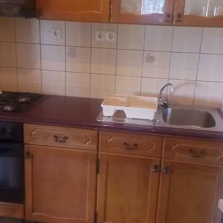 Guest house Pansion Rogovic 3*
